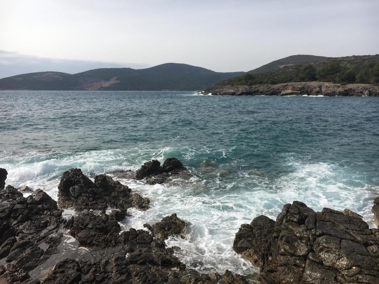 Daire Viktoria Tivat