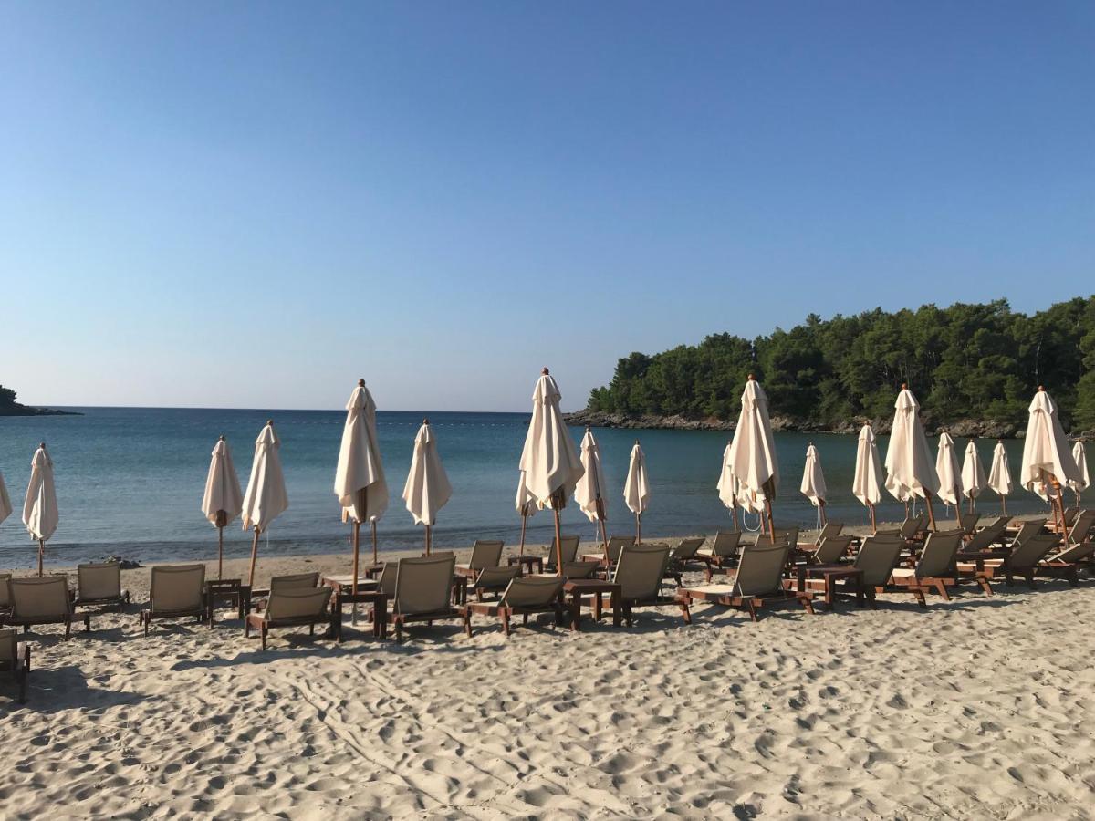 Viktoria Daire Tivat